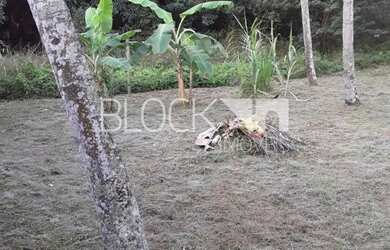 Imagem 10: Santa Cruz Terreno. 3.004m² de Área