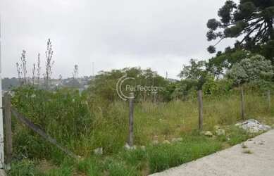 Imagem 2: Terrenos - Vila Verde