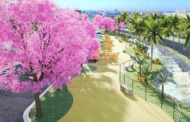 Imagem 6: Loteamento à venda em Ribeirão Do Lipa - MT