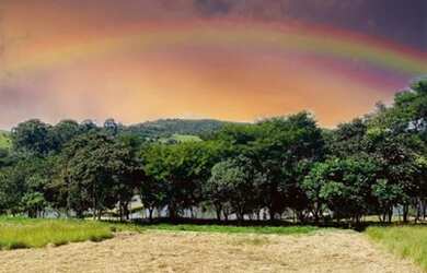 Imagem 8: Terreno de 1000 metros quadrados ótimo investimento para quem investir