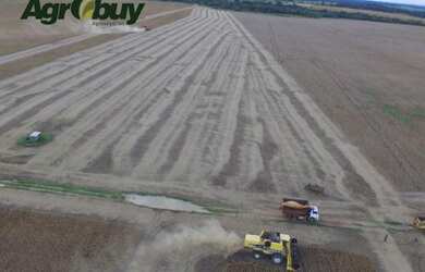 Imagem: A chácara possui 10m² de Área, Imóvel novo e está localizado