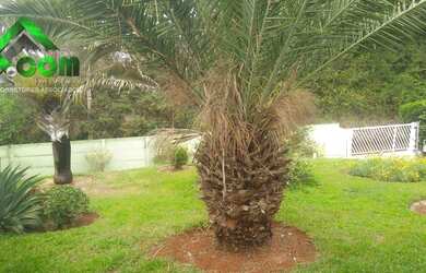 Imagem 5: Chácara a venda em Atibaia, no bairro Estancia Brasil