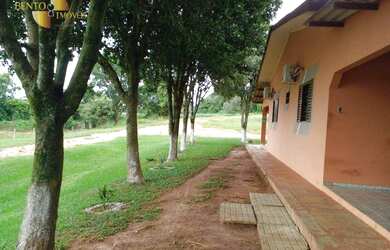 Imagem 8: Fazenda na região de Campo Verde à venda, 330000 m² por R$ 5.172.750...