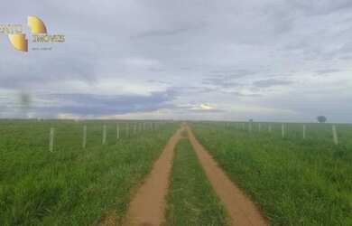 Imagem 1: Fazenda na região Santiago do Norte à venda, m² por R$ 29.999.000 -...