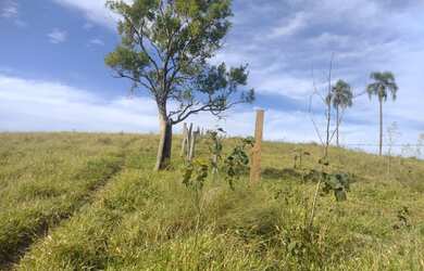 Imagem 9: Lote/Terreno para venda 1000m² Santa Isabel vista panorâmica