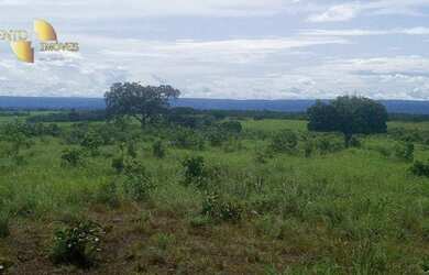 Imagem 11: Fazenda á 14km de Rosário à venda, 3200000 m² por R$ 5.500.000 - Zona...