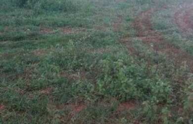 Imagem 8: Fazenda na região Santiago do Norte à venda, m² por R$ 29.999.000 -...