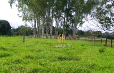 Imagem 9: Sítio à venda, 280784 m² por R$ 1.350.000,00 - Vila República - Goiás/GO