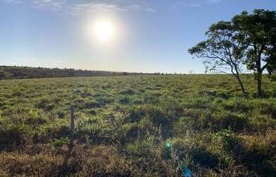 Imagem: A fazenda está localizado em Primavera do Leste, MT à venda