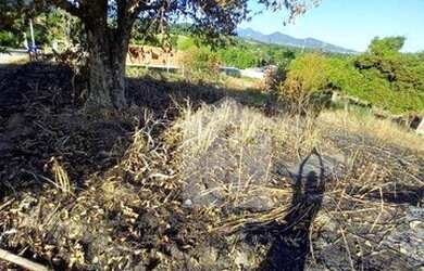 Imagem: O terreno possui 407m² de Área, Churrasqueira, Piscina e