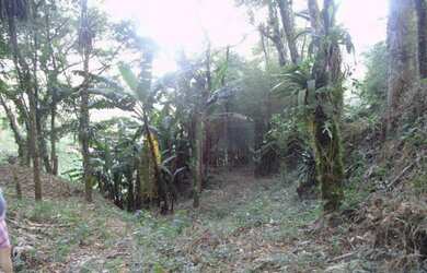 Imagem: O terreno possui 1910m² de Área e está localizado em Cascata