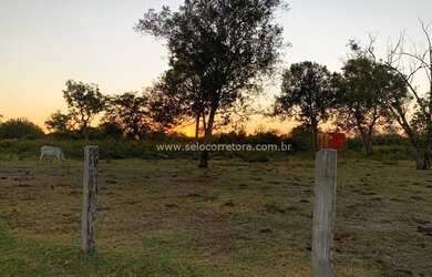 Imagem 3: Excelente Fazenda no Muni. de São Félix Do Araguaia e parte no Muni. de Luciara - MT