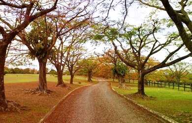 Imagem 3: Terreno à venda, 360 m² por R$ 435.600 - Villa Sapezal - Indaiatuba/SP