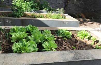 Imagem 13: Venda de casa/sobrado de alto padrão na City Boaçava Espaço dentro...