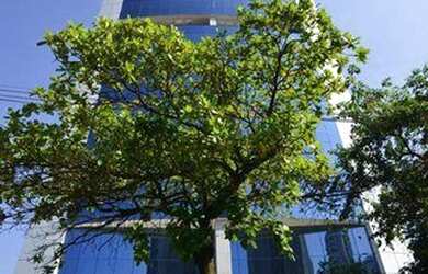 Imagem 1: Prédio corporativo para locação, Brooklin Paulista, São Paulo