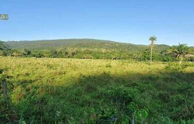 Imagem 3: Fazenda em Cáceres à venda, 17640000 m² por R$ 8.000.000 - Zona Rural...