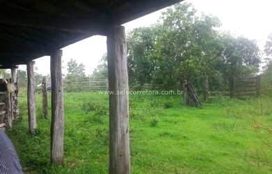 Imagem 9: Ótima Fazenda no Muni. de Itiquira a 150 km de Rondonópolis -MT