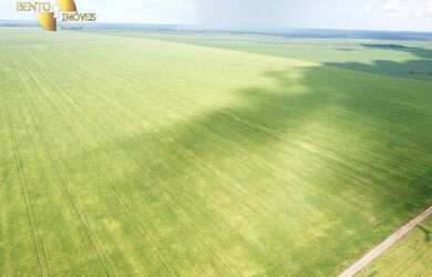 Imagem 7: Fazenda à venda, m² por R$ 150.000.000,00 - Zona Rural - Colider/MT