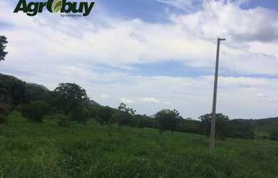 Imagem: Fazenda localizada no município de São Salvador TO