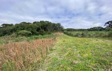 Imagem: A fazenda possui 23.000m² de Área e está localizado em Lamenha