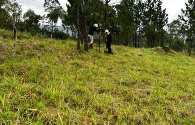 Imagem 3: Lote/Terreno para venda com 1000 metros quadrados em Jardim Tapajós -...