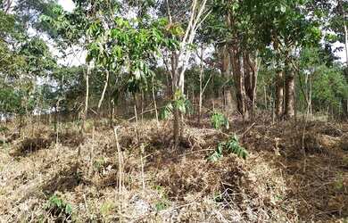 Imagem 11: Terreno à venda, 1700 m² por R$ 193.000,00 - Cascatinha - Nova Friburgo/RJ