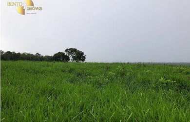 Imagem 3: Fazenda em Gaúcha do Norte à venda, m² por R$ 44.571.502 - Zona Rural...