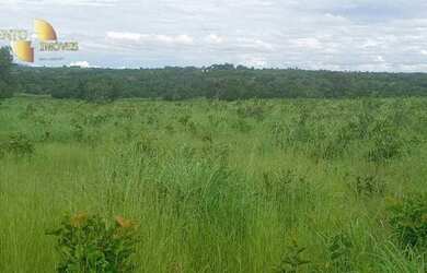 Imagem 15: Fazenda á 14km de Rosário à venda, 3200000 m² por R$ 5.500.000 - Zona...