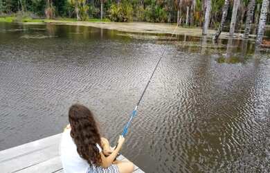 Imagem: O terreno possui 600m² de Área e está localizado em Flores
