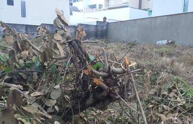 Imagem 6: Terreno à venda, 524 m² por R$ 800.000,00 - City América - São Paulo/SP