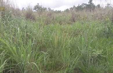 Imagem 4: Fazenda no município de Nobres à venda, 2780000 m² por R$ 5.560.000 - Vila Bom Jardim - No