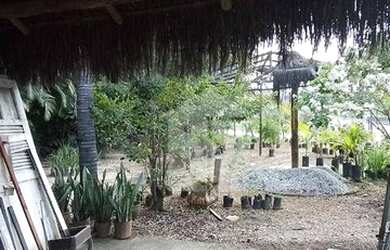 Imagem 6: Terreno à venda, 168 m² por R$ 550.000 - Flamengo - Maricá/RJ