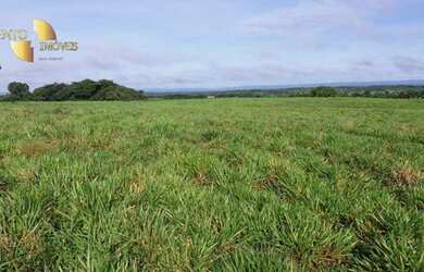 Imagem 4: Fazenda à venda, 3700000 m² por R$ 11.100.000,00 - Zona Rural - Acorizal/MT