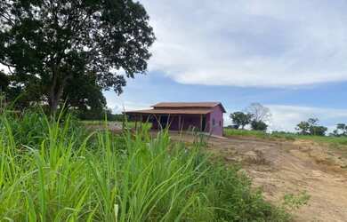 Imagem: A fazenda está localizado em Plano Diretor Sul, Palmas à venda