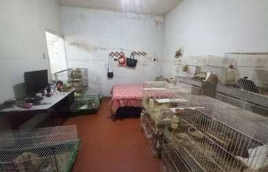 Imagem 5: Terreno à venda, 162 m² por R$ 480.000,00 - Santa Maria - São Caetano...