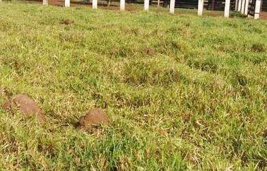 Imagem 16: Fazenda à venda, 3700000 m² por R$ 11.100.000,00 - Zona Rural - Acorizal/MT