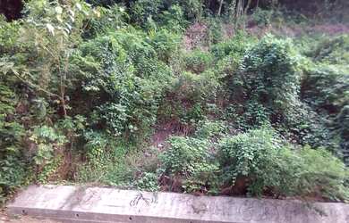 Imagem 3: Terreno no bairro São Conrado Vista Montanha Mar Verde