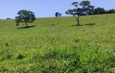 Imagem 9: 5000m² 30,000!!!