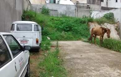Imagem 8: Terreno à venda, 244 m² por R$ 650.000,00 - Campestre - Santo André/SP
