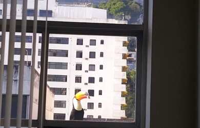 Imagem 1: Apartamento 4 Quartos, 170m² por R$ 1.150.000 - Tijuca - Rio de Janeiro/RJ