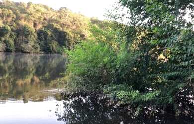 Imagem 4: Área no Manso. 550.000m² de Área