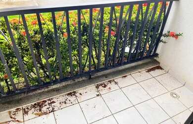 Imagem 7: Canto Belo Aeroporto Alugo 2/4, sendo 01 suíte, R$ 1.800,00 com taxas