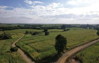 Imagem 1: 3,5 alqueire. 6.500m² de Área