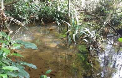 Imagem: O terreno possui 184m² de Área e está localizado em Rio