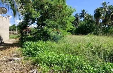 Imagem 1: Terreno incrível em Tatuamunha - Ótimo investimento