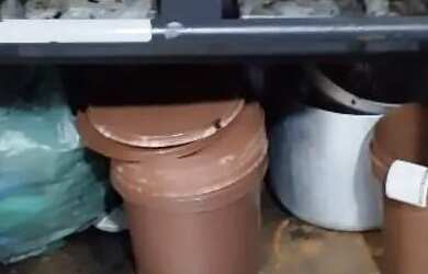 Imagem 5: Ponto de açaí. 50m² de Área