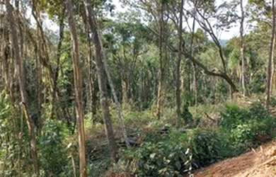 Imagem: O terreno possui 1.000m² de Área e está localizado em Centro