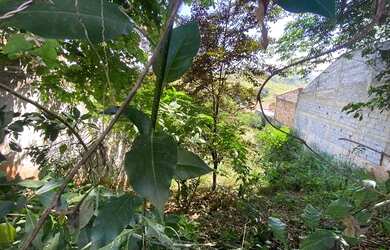 Imagem 8: Terreno à venda, 360 m² por R$ 200.000,00 - São Conrado - Brumadinho/MG