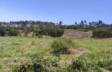 Imagem 12: 5000m² 30,000!!!