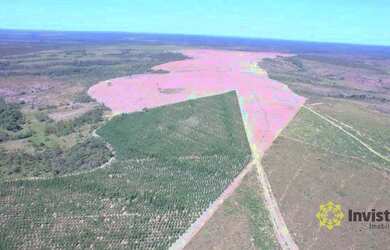 Imagem 4: Fazenda à venda, 1050 Ha - Zona Rural - Rio Sono/TO